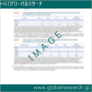 グローバルリサーチ調査レポートのイメージ